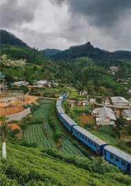 Travel destination